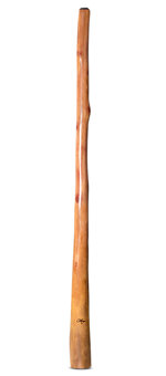 Tristan O'Meara Didgeridoo (TM374)